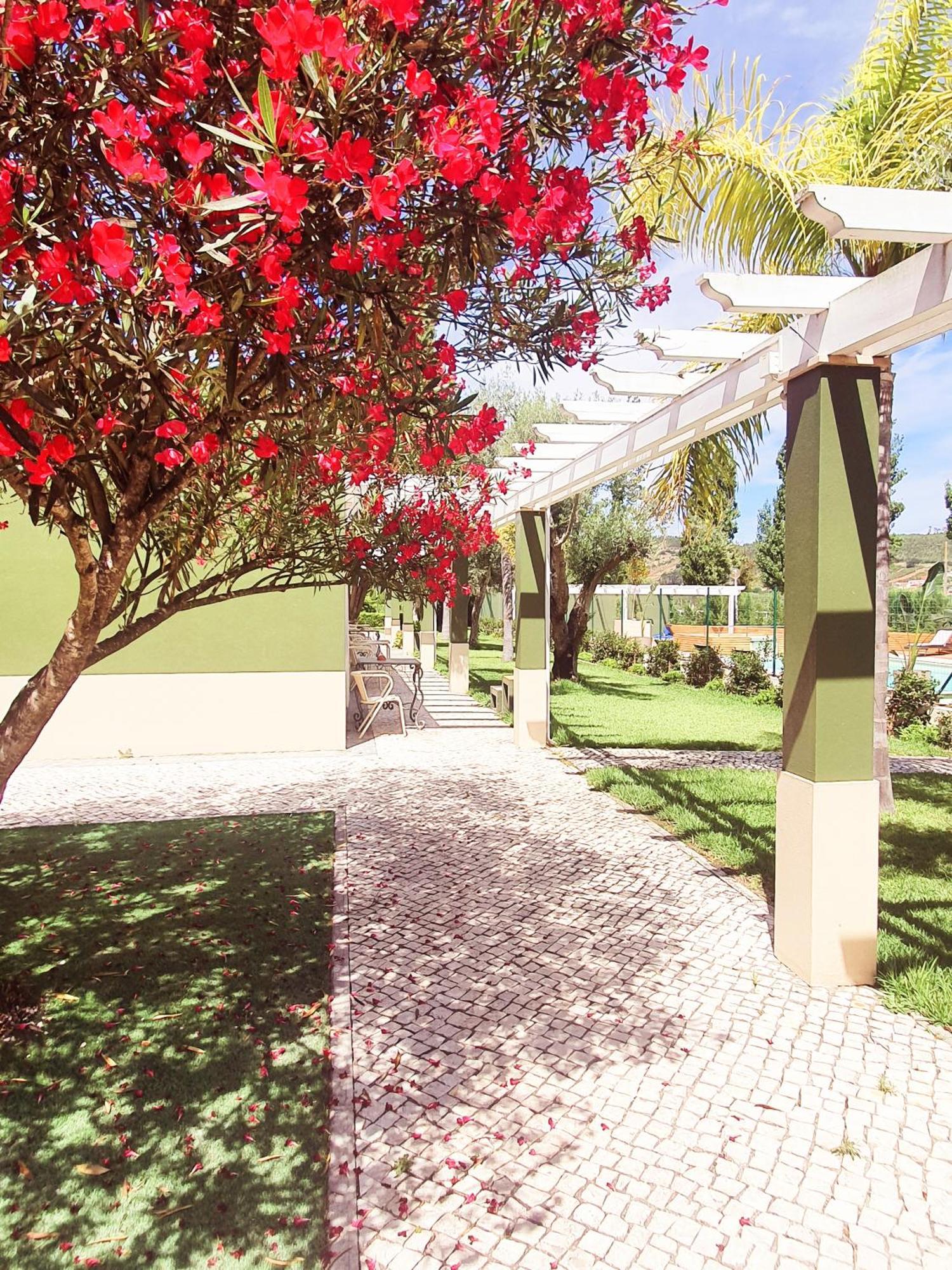 Quinta Do Pinheiro Hotel E Eventos By Grupo Quinta Dos Lagos Valado de Frades Ngoại thất bức ảnh