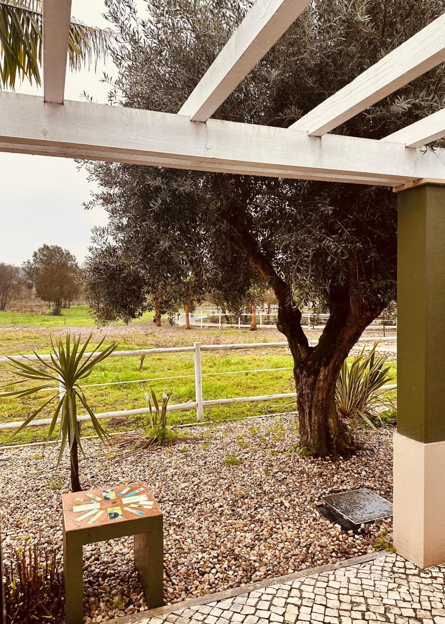 Quinta Do Pinheiro Hotel E Eventos By Grupo Quinta Dos Lagos Valado de Frades Ngoại thất bức ảnh